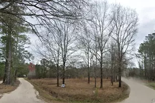 0 Dover Rd, Marion, SC 29571 - Photo 1