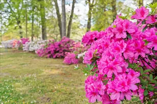 1001 N Main St, Marion, SC 29571 - Photo 10