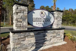 3357 SW Wood Stork Dr, Ocean Isle Beach, NC 28469 - Photo 10