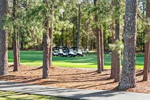 1700 Wood Stork Dr, Conway, SC 29526 - Photo 38