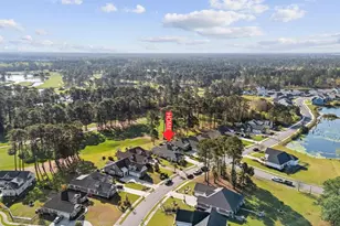 1700 Wood Stork Dr, Conway, SC 29526 - Photo 34