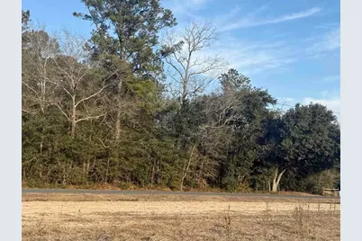 120 Rough Horn Rd, Evergreen, NC 28438 - Photo 2