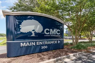 269 Red Buckeye Dr, Conway, SC 29527 - Photo 40