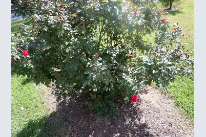 78 A J Lane, Tabor City, NC 28463 - Photo 72