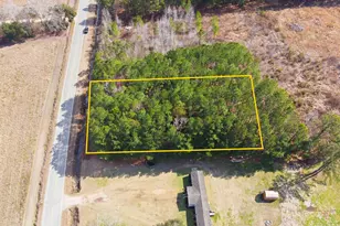 Gibson Rd, Greeleyville, SC 29056 - Photo 1