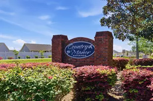 114 Murphy Way, Conway, SC 29526 - Photo 48