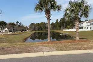 3749 White Wing Cir, Myrtle Beach, SC 29579 - Photo 38