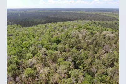 Tbd Georgetown Hwy., Andrews, SC 29510 - Photo 12