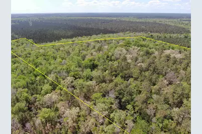 Tbd Georgetown Hwy., Andrews, SC 29510 - Photo 4