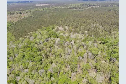 Tbd Georgetown Hwy., Andrews, SC 29510 - Photo 6