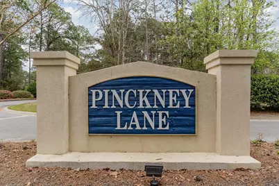 9374 Pinckney Ln., Murrells Inlet, SC 29576 - Photo 28