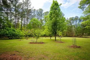 120 Honeymoon Ln, Saint Stephen, SC 29479 - Photo 4