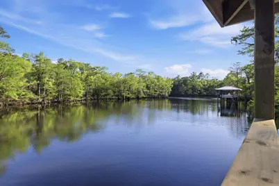 137 Rose Lake Dr., Conway, SC 29526 - Photo 32