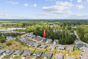424 Black Cherry Way, Conway, SC 29526 - Photo 44