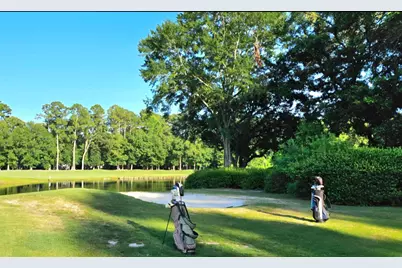 1810 Orchard Dr., Myrtle Beach, SC 29577 - Photo 58