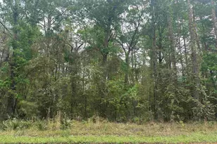 Tbd Creekside Dr, Myrtle Beach, SC 29588 - Photo 1