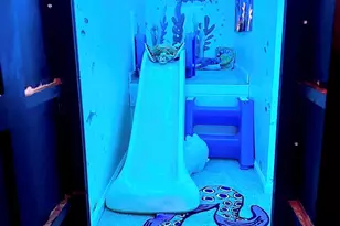 304 21st Ave S, Myrtle Beach, SC 29577 - Photo 24