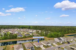179 Pine Forest Dr, Conway, SC 29526 - Photo 2