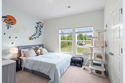 555 Appaloosa Way, Conway, SC 29527 - Photo 20