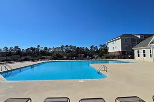 300 Kiskadee Loop, Conway, SC 29526 - Photo 30