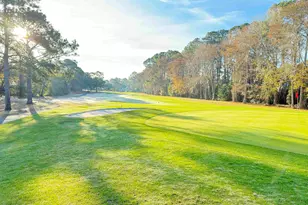 388 Linden Cir, Pawleys Island, SC 29585 - Photo 44