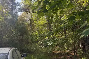 290 Hwy 57 S, Little River, SC 29566 - Photo 2
