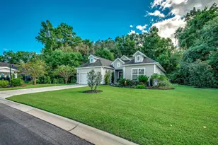242 Hyacinth Loop, Murrells Inlet, SC 29576 - Photo 52
