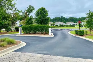 242 Hyacinth Loop, Murrells Inlet, SC 29576 - Photo 56