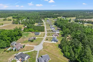 129 Ole Nobleman Ct, Conway, SC 29527 - Photo 42