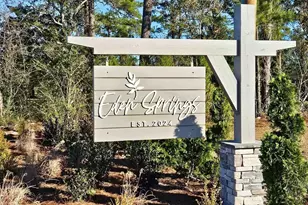 309 Hadley Spgs Ave, Longs, SC 29568 - Photo 34