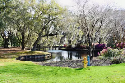 280 Oatland Lake Rd., Pawleys Island, SC 29585 - Photo 54