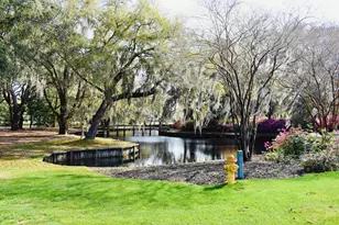280 Oatland Lake Rd, Pawleys Island, SC 29585 - Photo 54