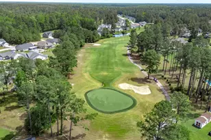 382 Long Meadow Dr, Loris, SC 29569 - Photo 50