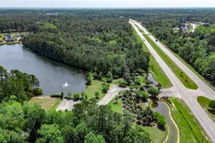 382 Long Meadow Dr, Loris, SC 29569 - Photo 42