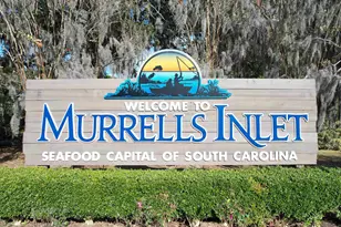 9 Topsail Ln, Murrells Inlet, SC 29576 - Photo 44