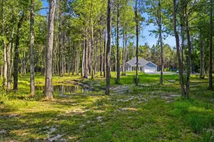 4699 Red Bluff Rd, Loris, SC 29569 - Photo 66