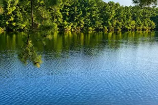 317 Long Meadow Dr, Loris, SC 29569 - Photo 44