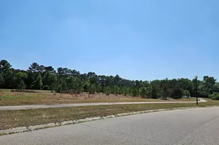 543 Mingo Trail, Johnsonville, SC 29555 - Photo 18