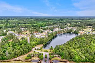 386 Long Meadow Dr, Loris, SC 29569 - Photo 54