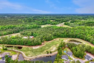 386 Long Meadow Dr, Loris, SC 29569 - Photo 58