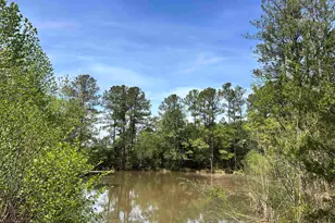 187 Ibis Ln, Winnsboro, SC 29180 - Photo 28
