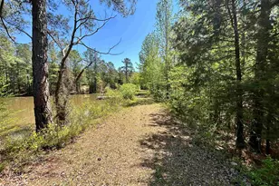 187 Ibis Ln, Winnsboro, SC 29180 - Photo 46