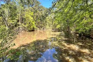 187 Ibis Ln, Winnsboro, SC 29180 - Photo 40
