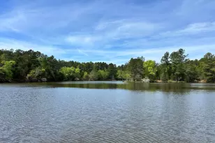 187 Ibis Ln, Winnsboro, SC 29180 - Photo 22