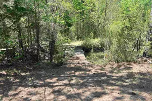 187 Ibis Ln, Winnsboro, SC 29180 - Photo 32