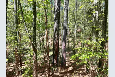 187 Ibis Ln., Winnsboro, SC 29180 - Photo 40