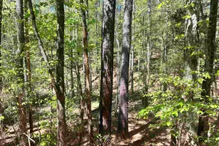 187 Ibis Ln, Winnsboro, SC 29180 - Photo 40