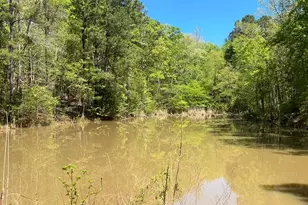 187 Ibis Ln, Winnsboro, SC 29180 - Photo 50