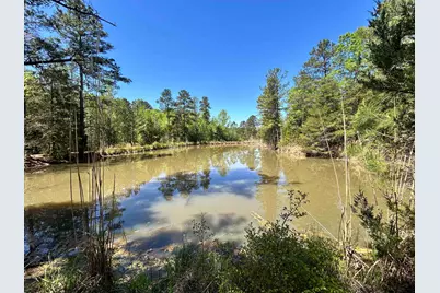 187 Ibis Ln., Winnsboro, SC 29180 - Photo 44