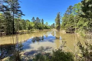 187 Ibis Ln, Winnsboro, SC 29180 - Photo 44